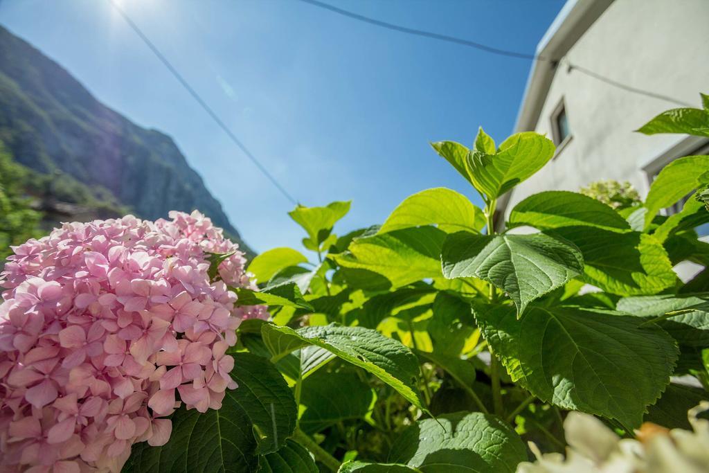 Farm Stay Ferjancic 비파바 외부 사진